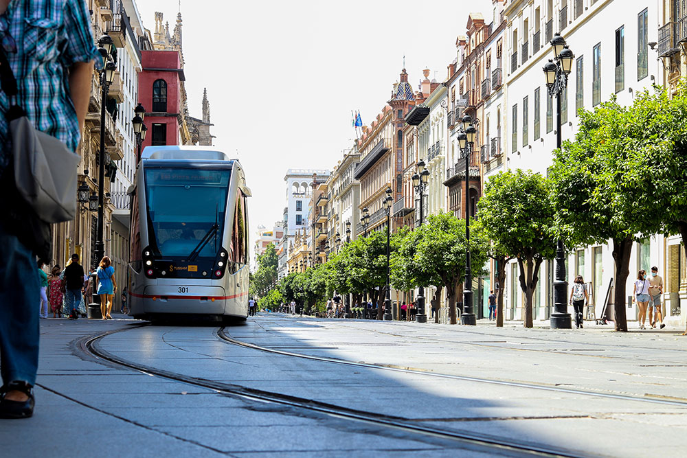 Avenida de la constitución